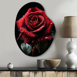 Red Black Rose Elegance I - Asymmetric Metal Wall Art