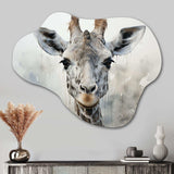 Giraffe Graceful Necks - Asymmetric Metal Wall Art