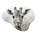 Giraffe Graceful Necks - Asymmetric Metal Wall Art