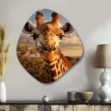 Giraffe Portrait Vibrant - Asymmetric Metal Wall Art