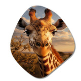 Giraffe Portrait Vibrant - Asymmetric Metal Wall Art