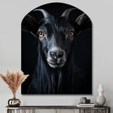 Black And White Goat Portrait - Asymmetric Metal Wall Art