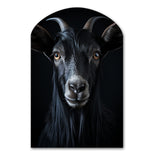 Black And White Goat Portrait - Asymmetric Metal Wall Art