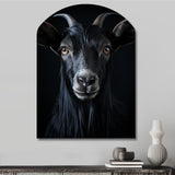 Black And White Goat Portrait - Asymmetric Metal Wall Art