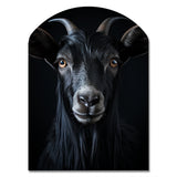 Black And White Goat Portrait - Asymmetric Metal Wall Art