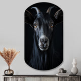 Black And White Goat Portrait - Asymmetric Metal Wall Art