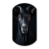 Black And White Goat Portrait - Asymmetric Metal Wall Art