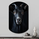 Black And White Goat Portrait - Asymmetric Metal Wall Art