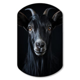 Black And White Goat Portrait - Asymmetric Metal Wall Art