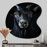 Black And White Goat Portrait - Asymmetric Metal Wall Art