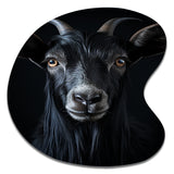 Black And White Goat Portrait - Asymmetric Metal Wall Art