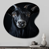 Black And White Goat Portrait - Asymmetric Metal Wall Art