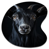 Black And White Goat Portrait - Asymmetric Metal Wall Art