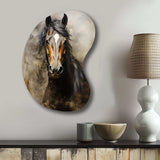 White Horse Equestrian Duality I - Asymmetric Metal Wall Art