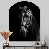 Black And White Horse Elegance - Asymmetric Metal Wall Art