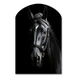 Black And White Horse Elegance - Asymmetric Metal Wall Art