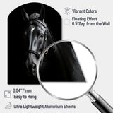 Black And White Horse Elegance - Asymmetric Metal Wall Art