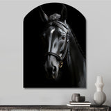 Black And White Horse Elegance - Asymmetric Metal Wall Art