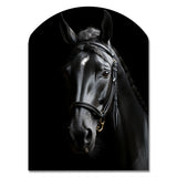 Black And White Horse Elegance - Asymmetric Metal Wall Art