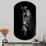 Black And White Horse Elegance - Asymmetric Metal Wall Art