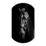 Black And White Horse Elegance - Asymmetric Metal Wall Art