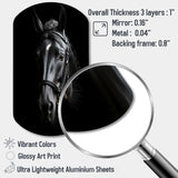 Black And White Horse Elegance - Asymmetric Metal Wall Art