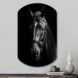 Black And White Horse Elegance - Asymmetric Metal Wall Art