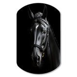 Black And White Horse Elegance - Asymmetric Metal Wall Art