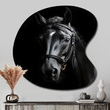 Black And White Horse Elegance - Asymmetric Metal Wall Art