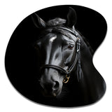 Black And White Horse Elegance - Asymmetric Metal Wall Art