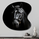 Black And White Horse Elegance - Asymmetric Metal Wall Art