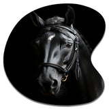 Black And White Horse Elegance - Asymmetric Metal Wall Art