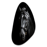 Black And White Horse Elegance - Asymmetric Metal Wall Art