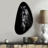 Black And White Horse Elegance - Asymmetric Metal Wall Art