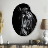 Black And White Horse Elegance - Asymmetric Metal Wall Art