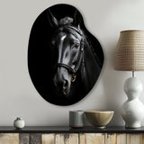 Black And White Horse Elegance - Asymmetric Metal Wall Art