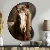 Brown Horse Harmonious Balance - Asymmetric Metal Wall Art