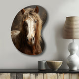 Brown Horse Harmonious Balance - Asymmetric Metal Wall Art