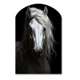 Grey Horse Majestic Monochrome - Asymmetric Metal Wall Art