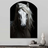 Grey Horse Majestic Monochrome - Asymmetric Metal Wall Art