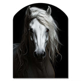 Grey Horse Majestic Monochrome - Asymmetric Metal Wall Art