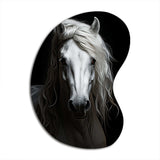 Grey Horse Majestic Monochrome - Asymmetric Metal Wall Art