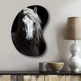 Grey Horse Majestic Monochrome - Asymmetric Metal Wall Art