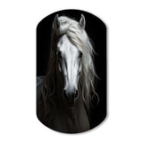 Grey Horse Majestic Monochrome - Asymmetric Metal Wall Art