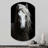 Grey Horse Majestic Monochrome - Asymmetric Metal Wall Art