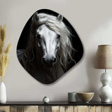 Grey Horse Majestic Monochrome - Asymmetric Metal Wall Art