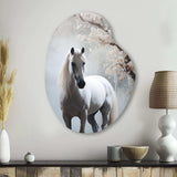 Grey Horse Mystical Encounter - Asymmetric Metal Wall Art