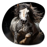 White Horse Stallions Strength I - Asymmetric Metal Wall Art