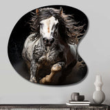 White Horse Stallions Strength I - Asymmetric Metal Wall Art