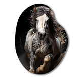 White Horse Stallions Strength I - Asymmetric Metal Wall Art